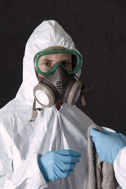 Best Residential Mold Inspection & Testing  in South Burlington, VT